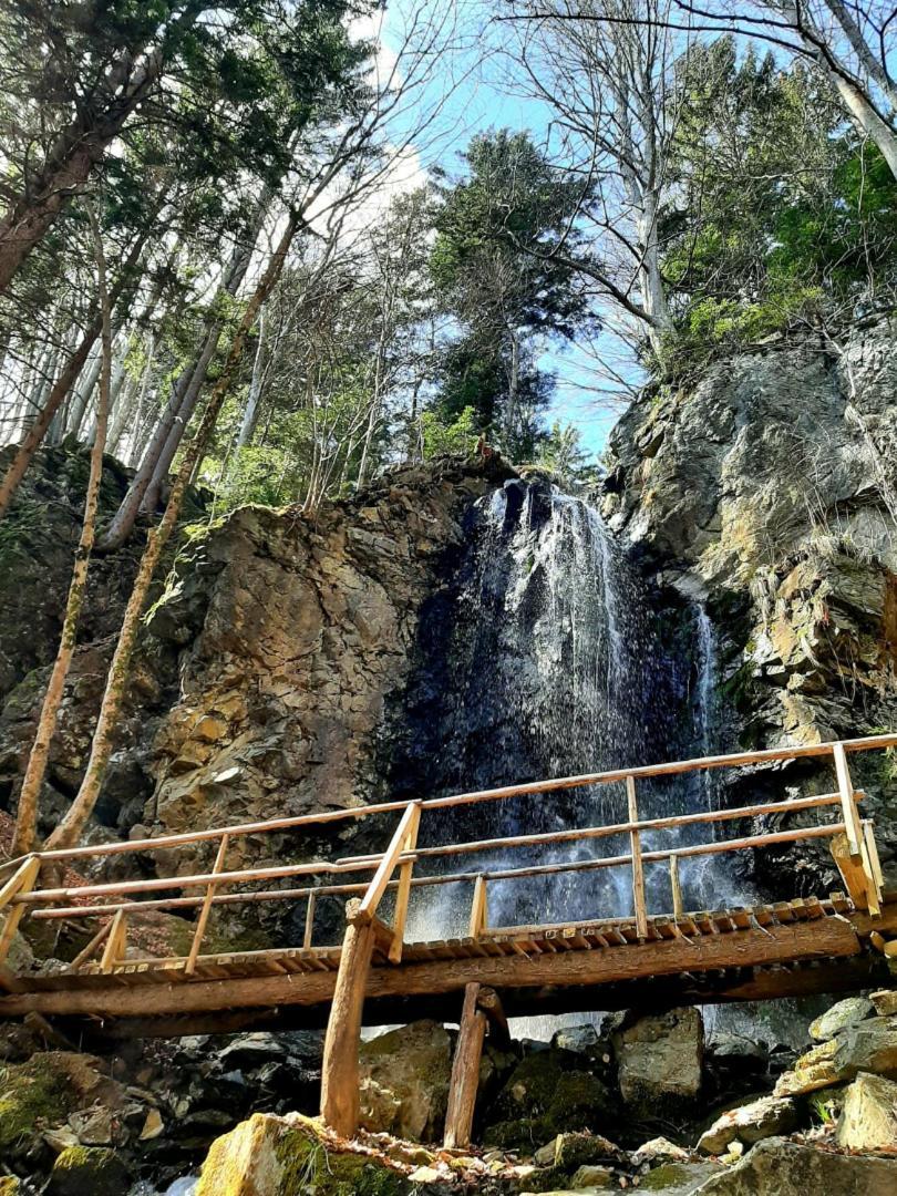 Apartma Pohorje Bolfenk 5010 Hočko Pohorje Exteriér fotografie